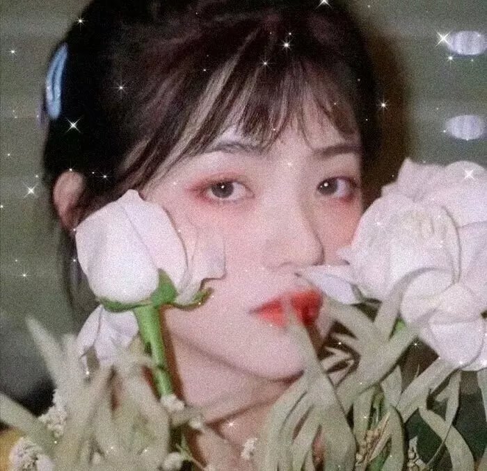 罗美雪妮黛的美丽与哀愁